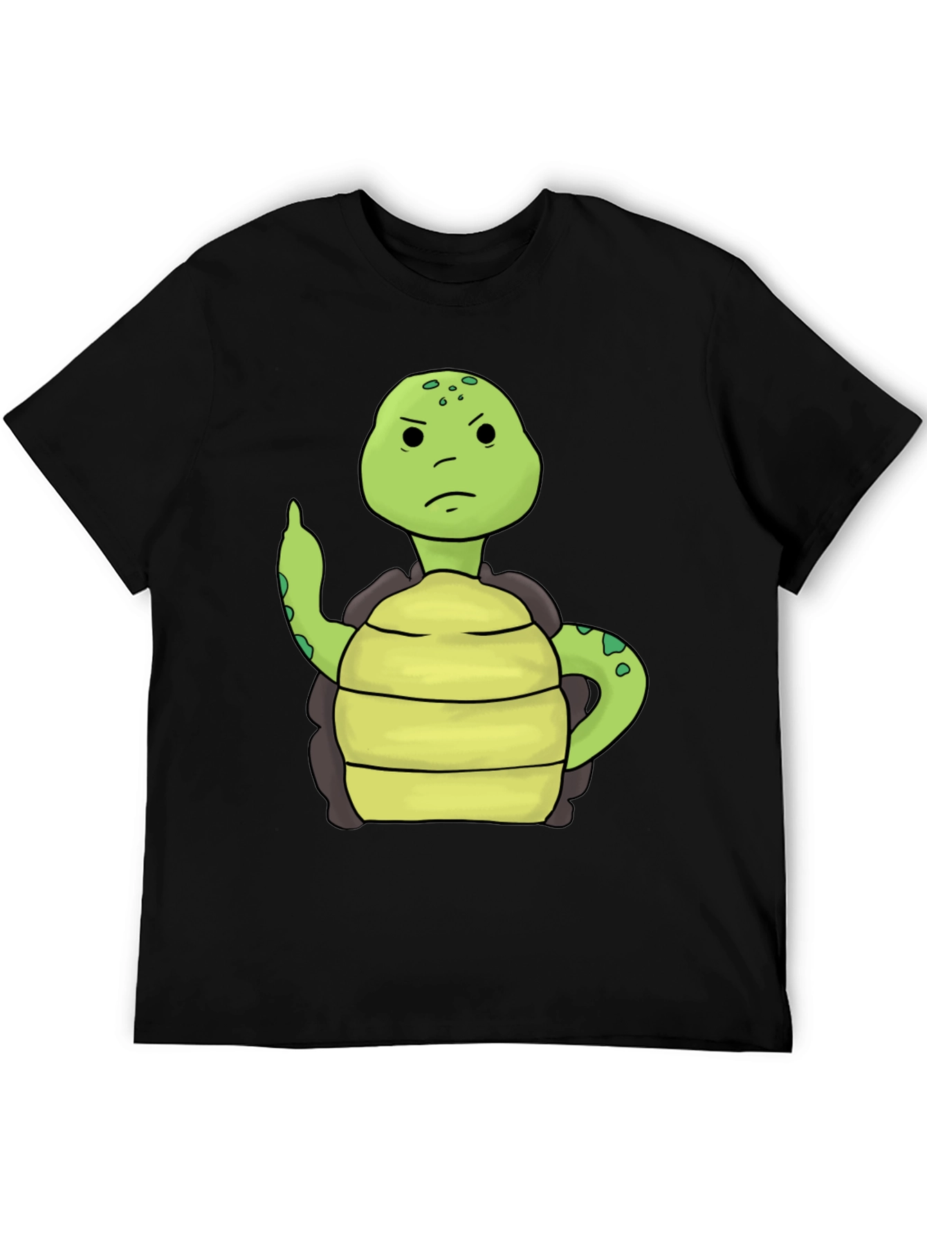 Grumpy Turtle T-Shirt - Funny Animal Graphic Tee