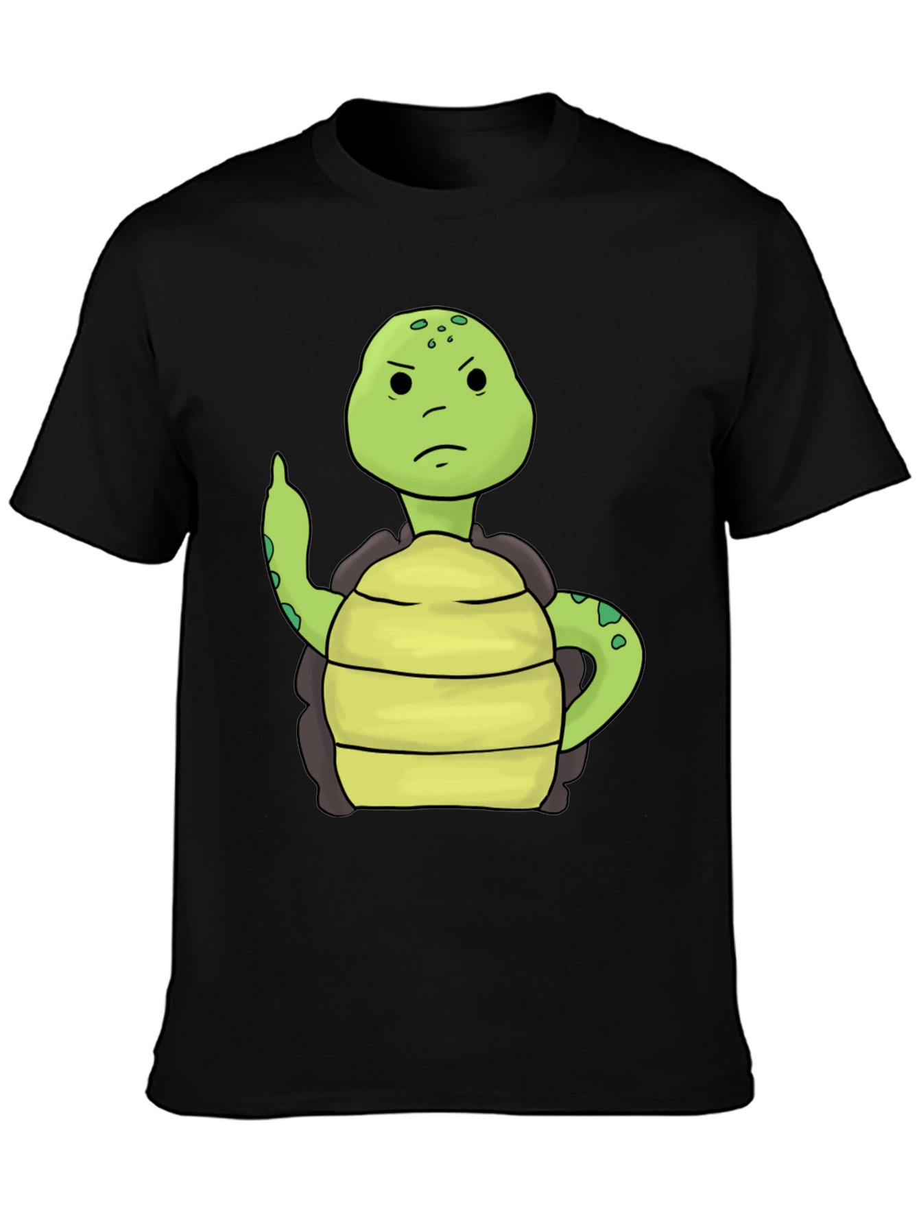 Grumpy Turtle T-Shirt - Funny Animal Graphic Tee