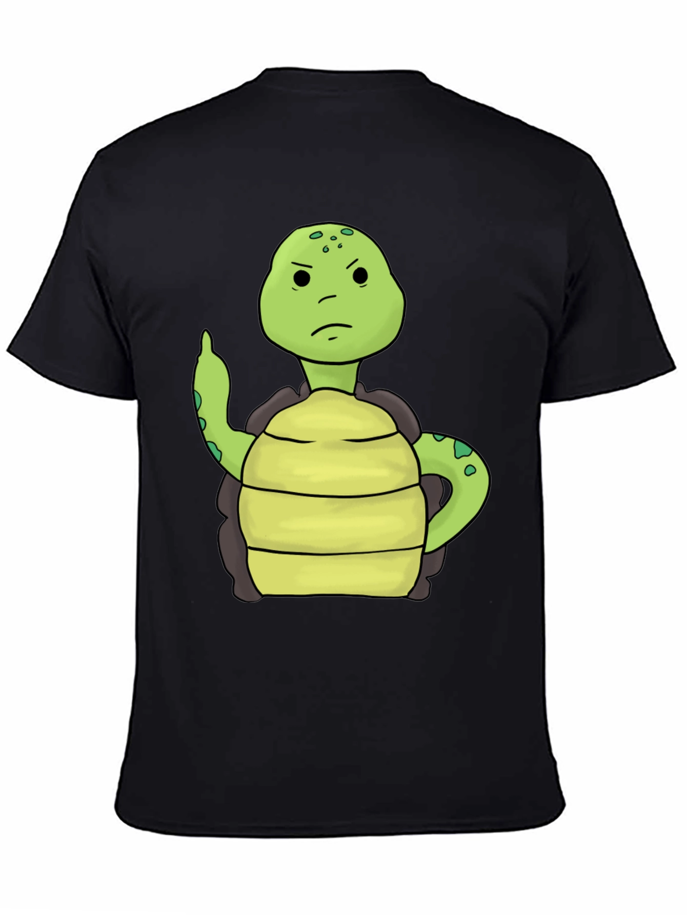 Grumpy Turtle T-Shirt - Funny Animal Graphic Tee