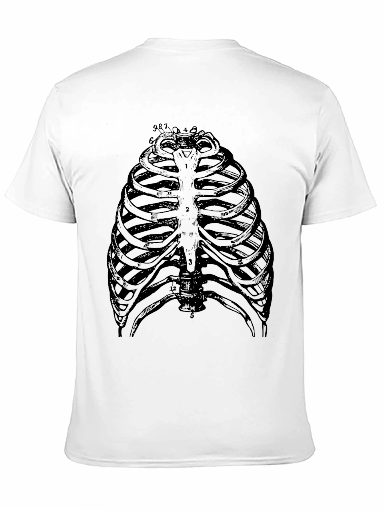 Anatomical Rib Cage Graphic T-Shirt - Black