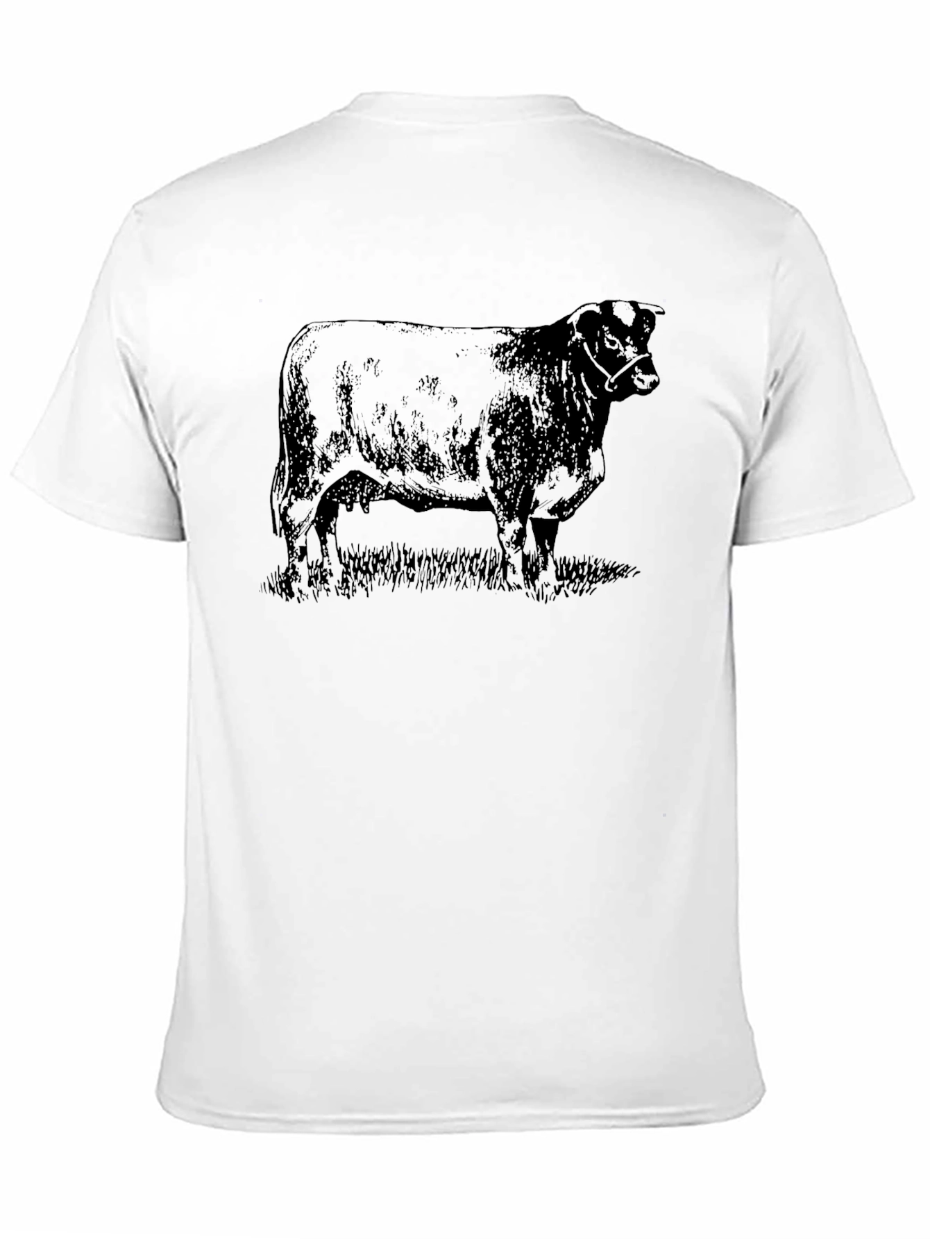 Black Angus Bull Graphic Tee