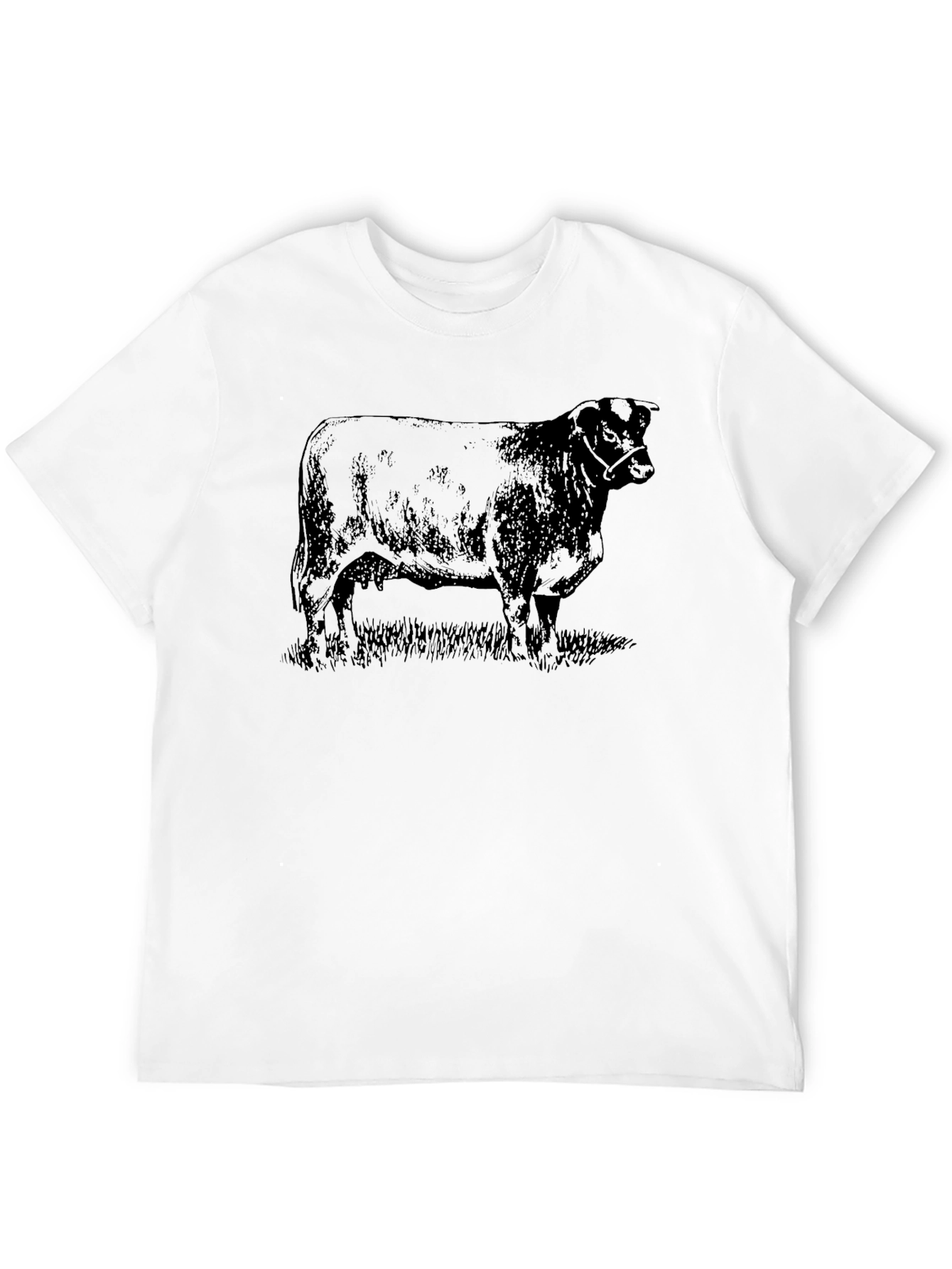 Black Angus Bull Graphic Tee