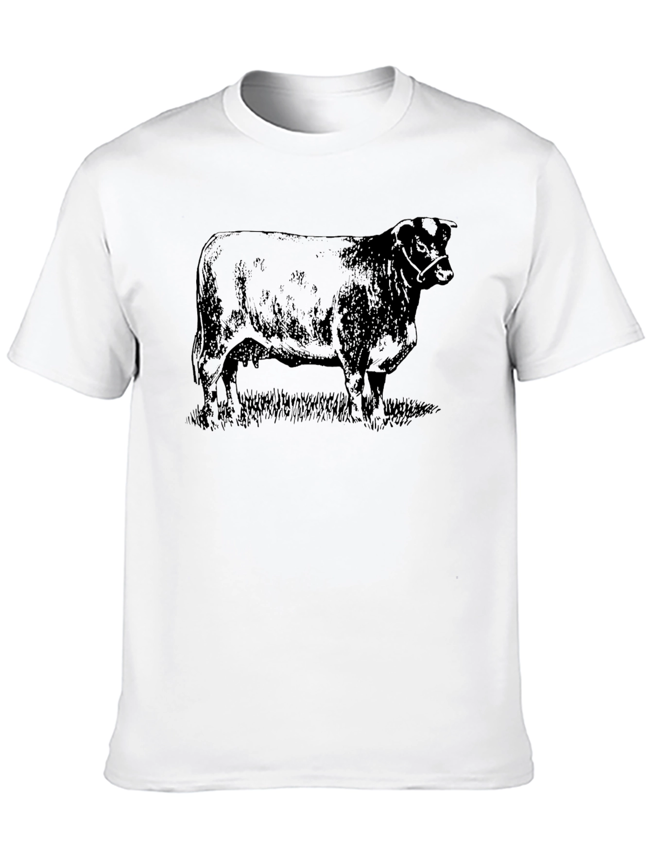 Black Angus Bull Graphic Tee