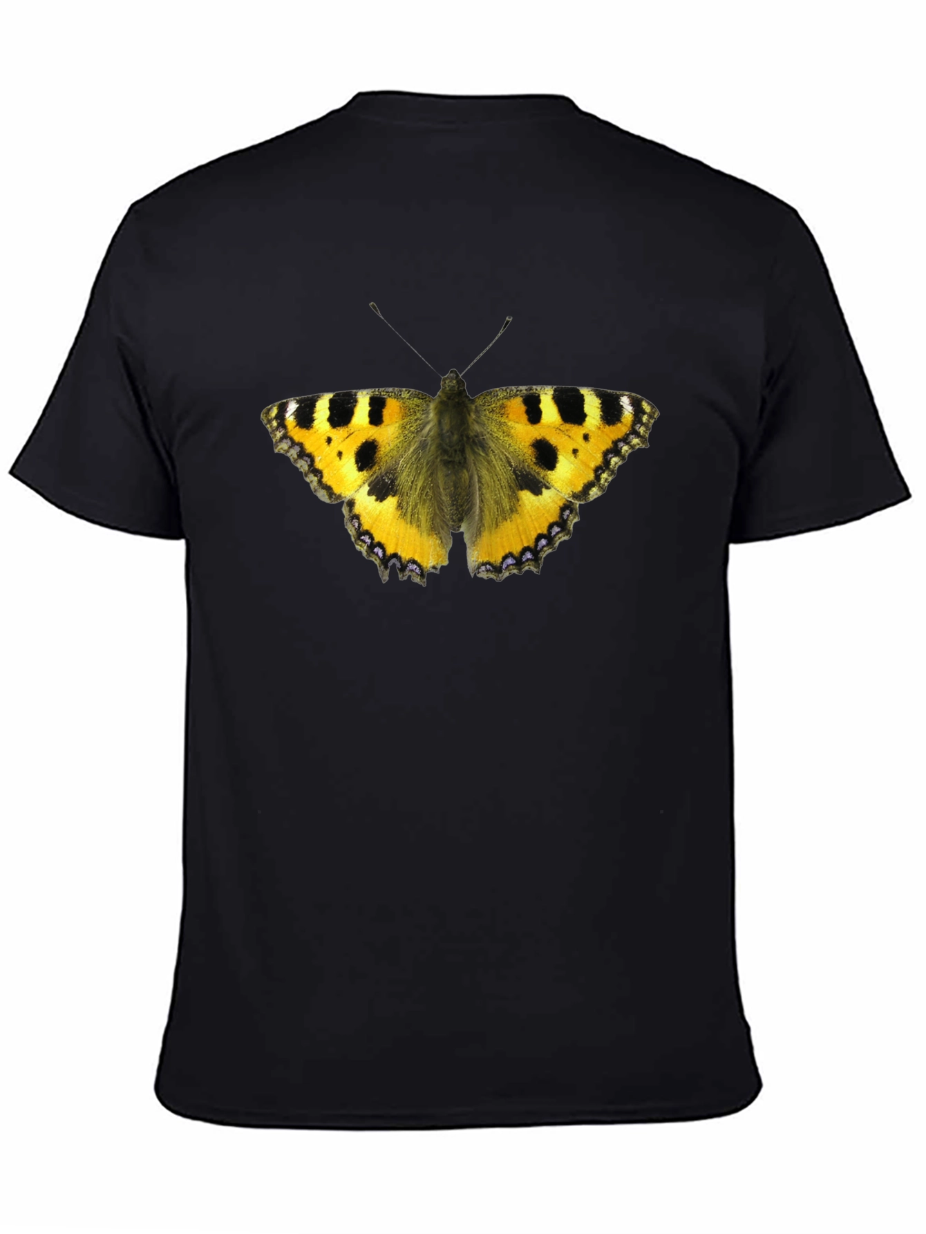 Butterfly Graphic Black T-Shirt