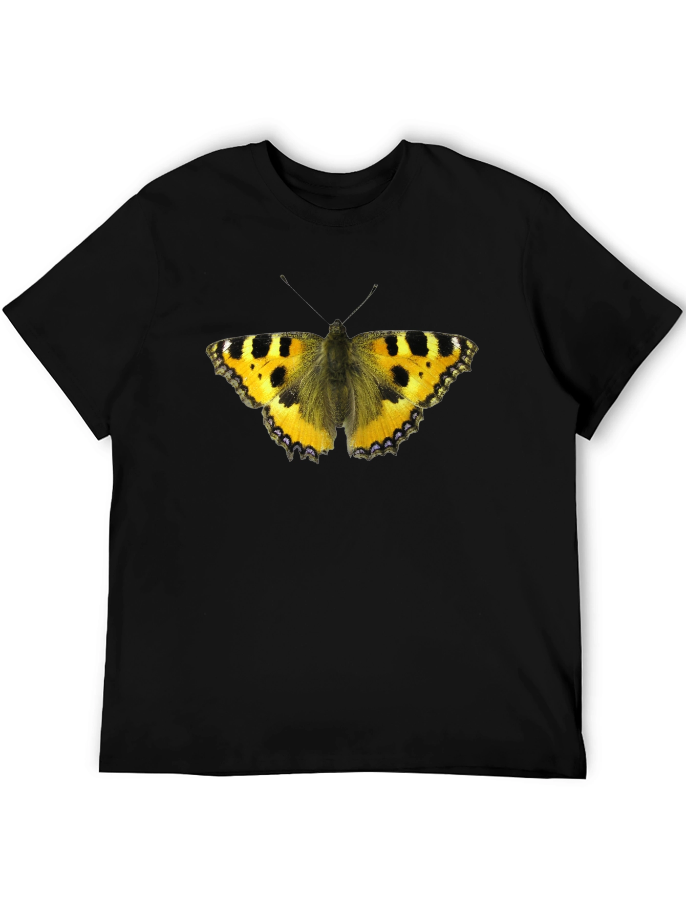Butterfly Graphic Black T-Shirt