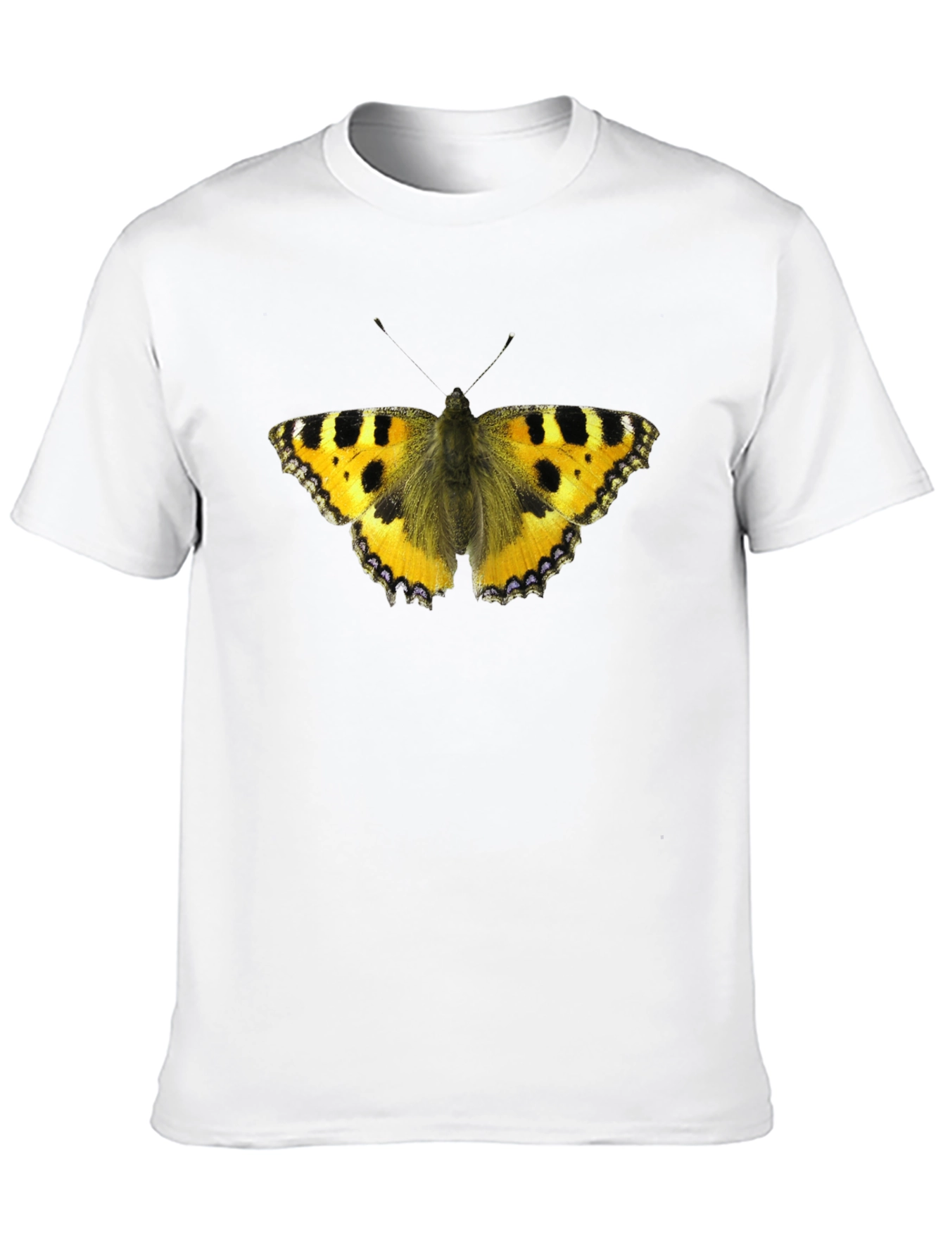 Butterfly Graphic Black T-Shirt