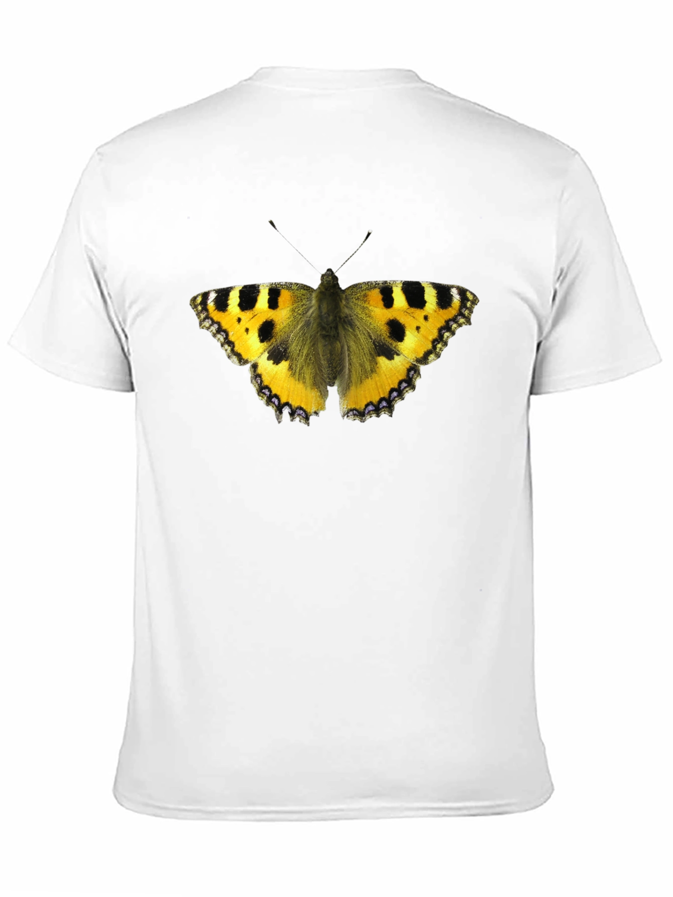 Butterfly Graphic Black T-Shirt
