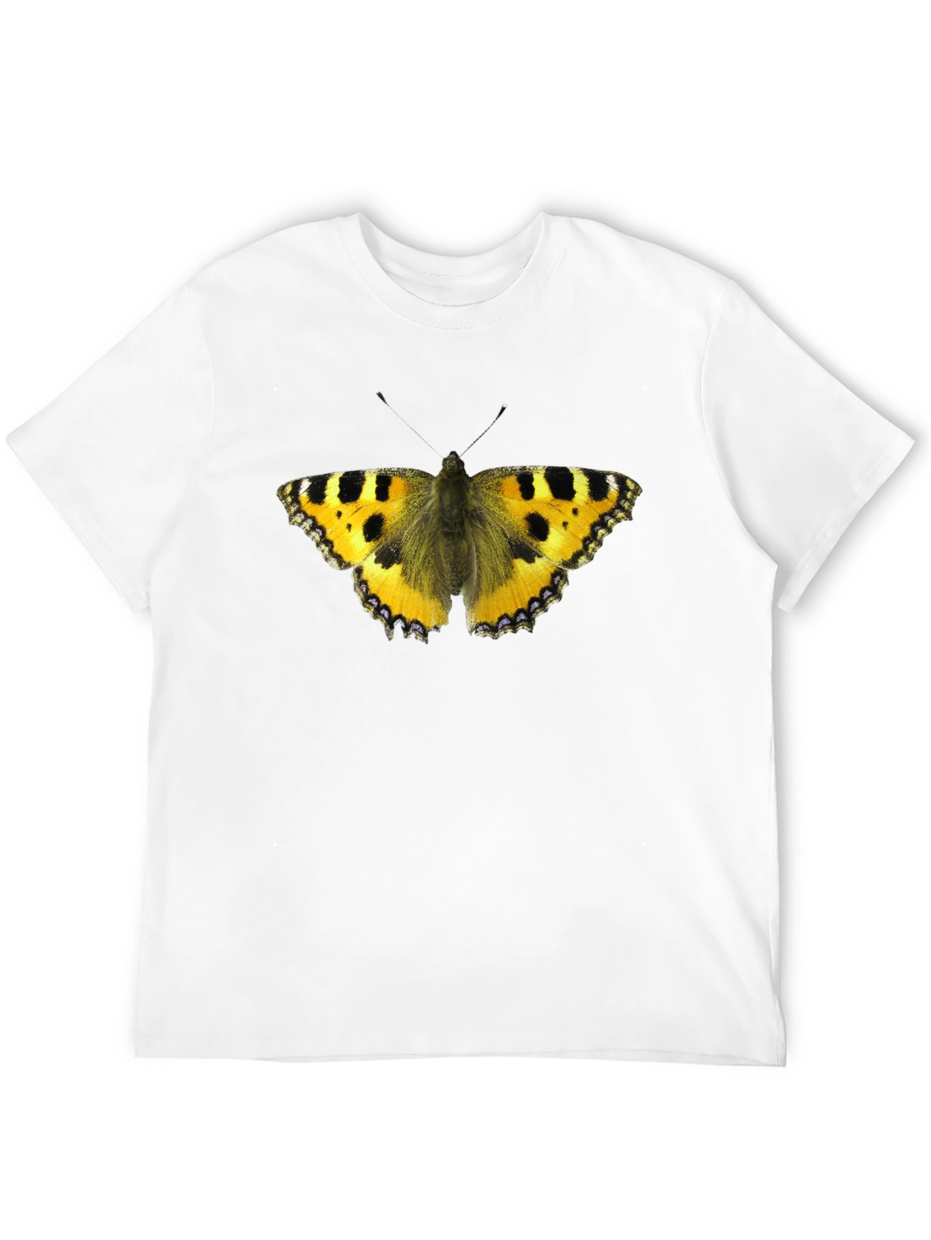 Butterfly Graphic Black T-Shirt