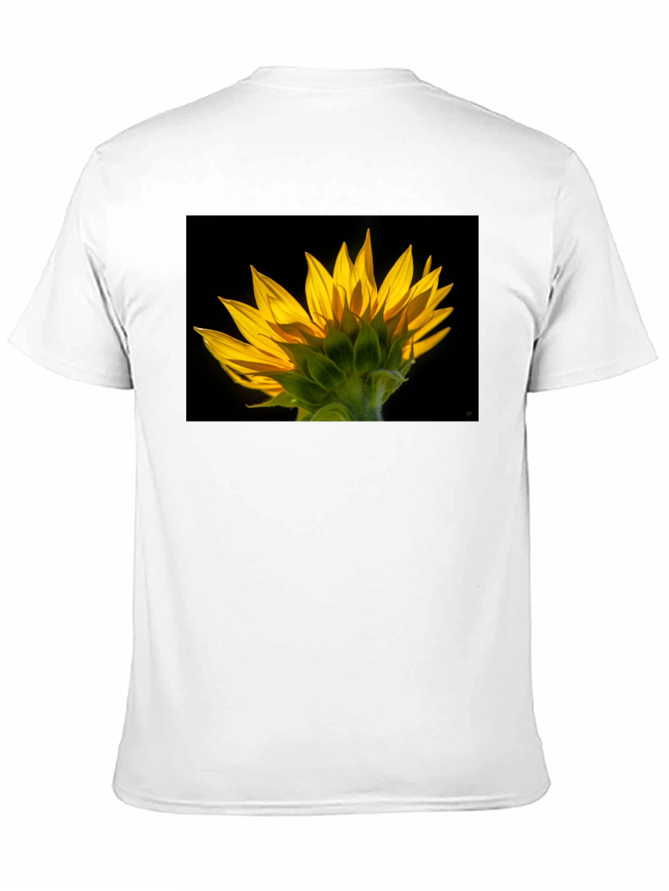 Sunflower Graphic Black T-Shirt