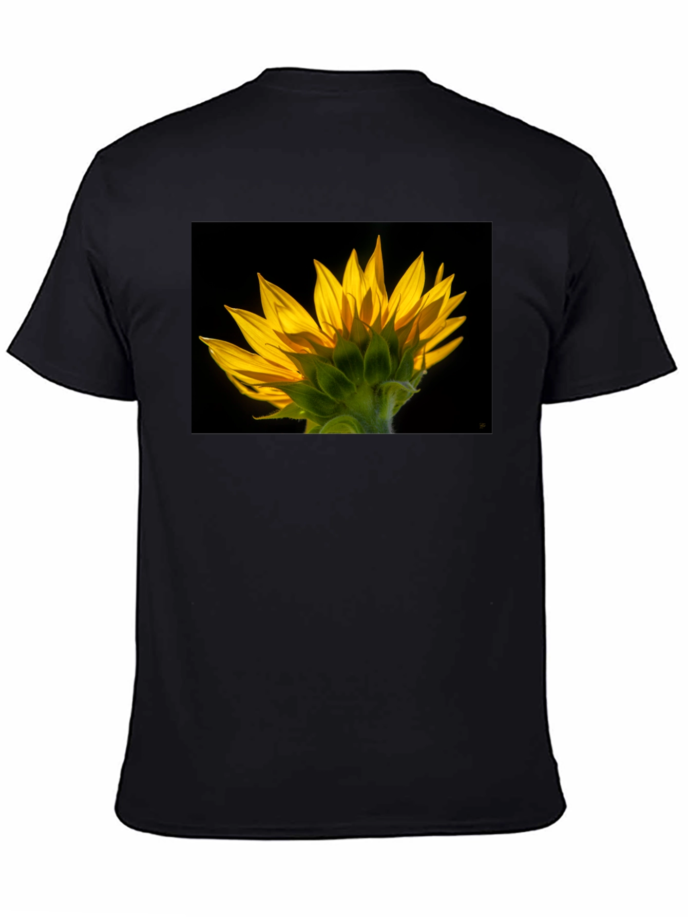 Sunflower Graphic Black T-Shirt