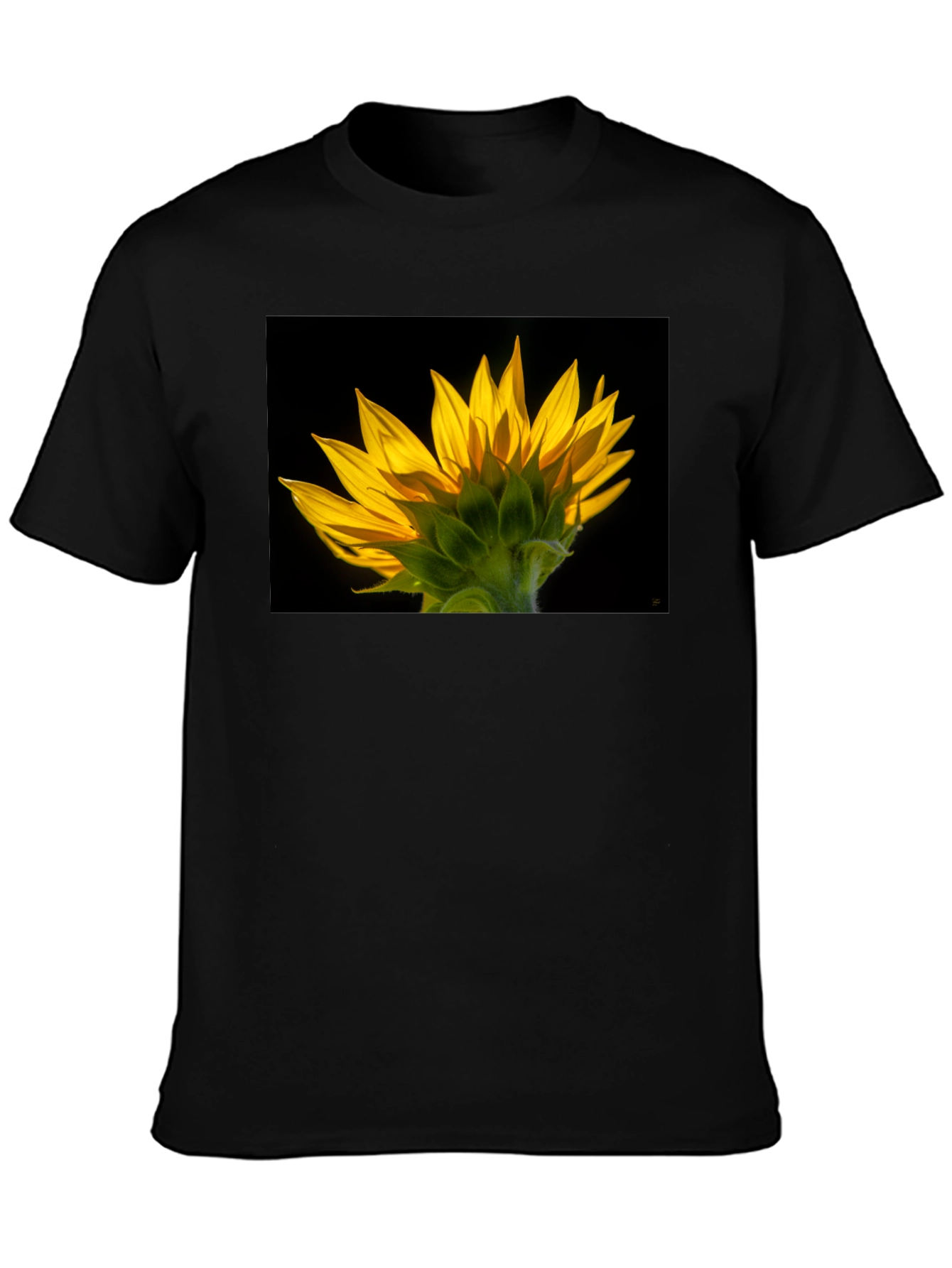 Sunflower Graphic Black T-Shirt