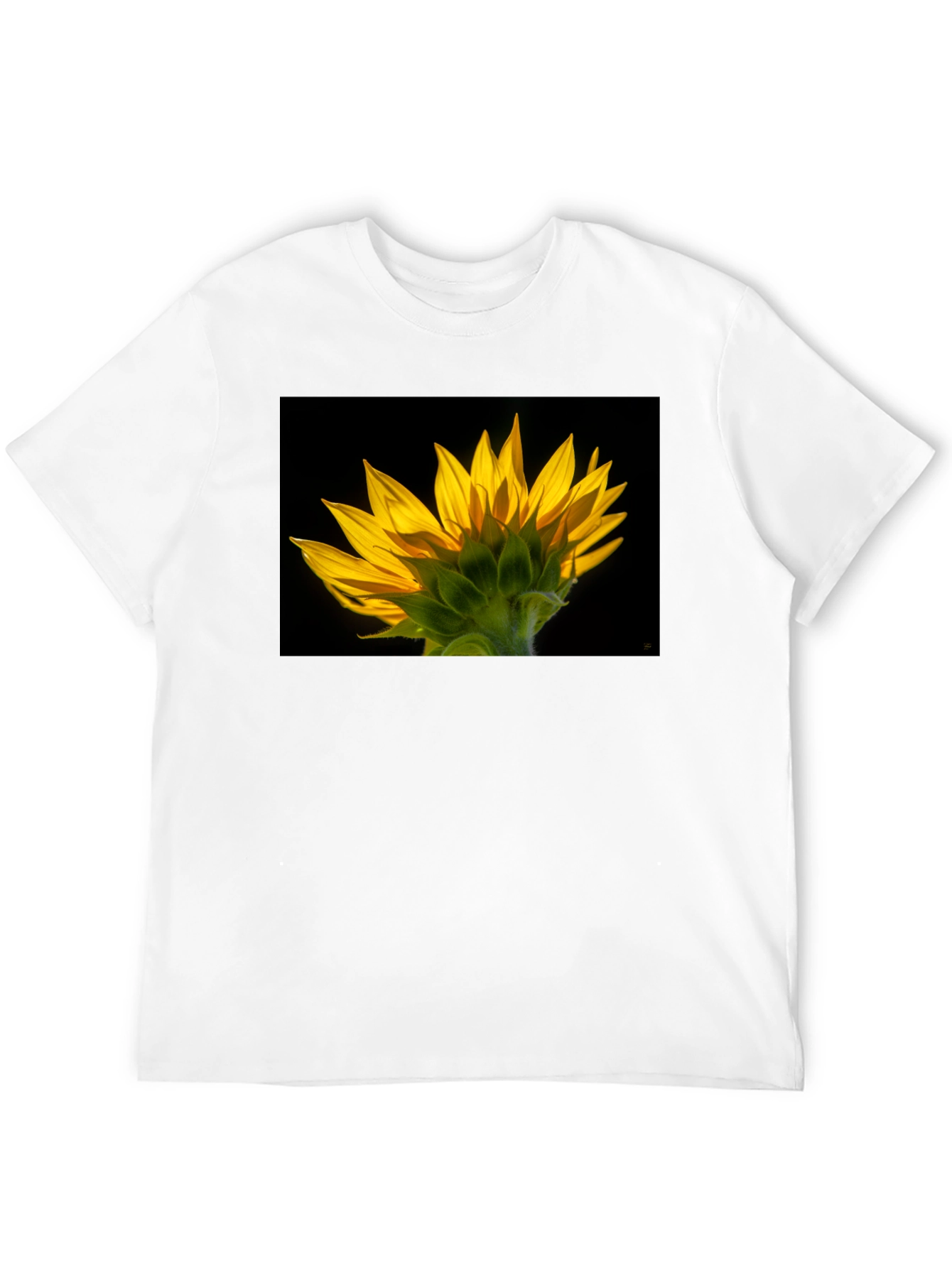 Sunflower Graphic Black T-Shirt