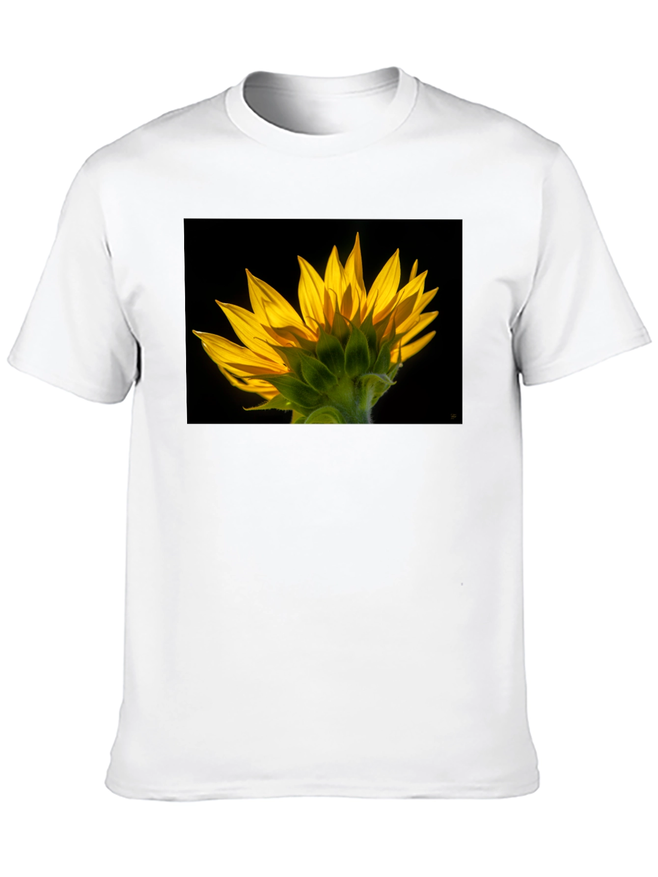 Sunflower Graphic Black T-Shirt