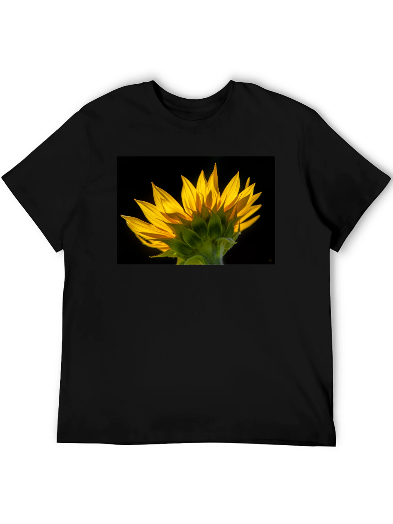 Sunflower Graphic Black T-Shirt