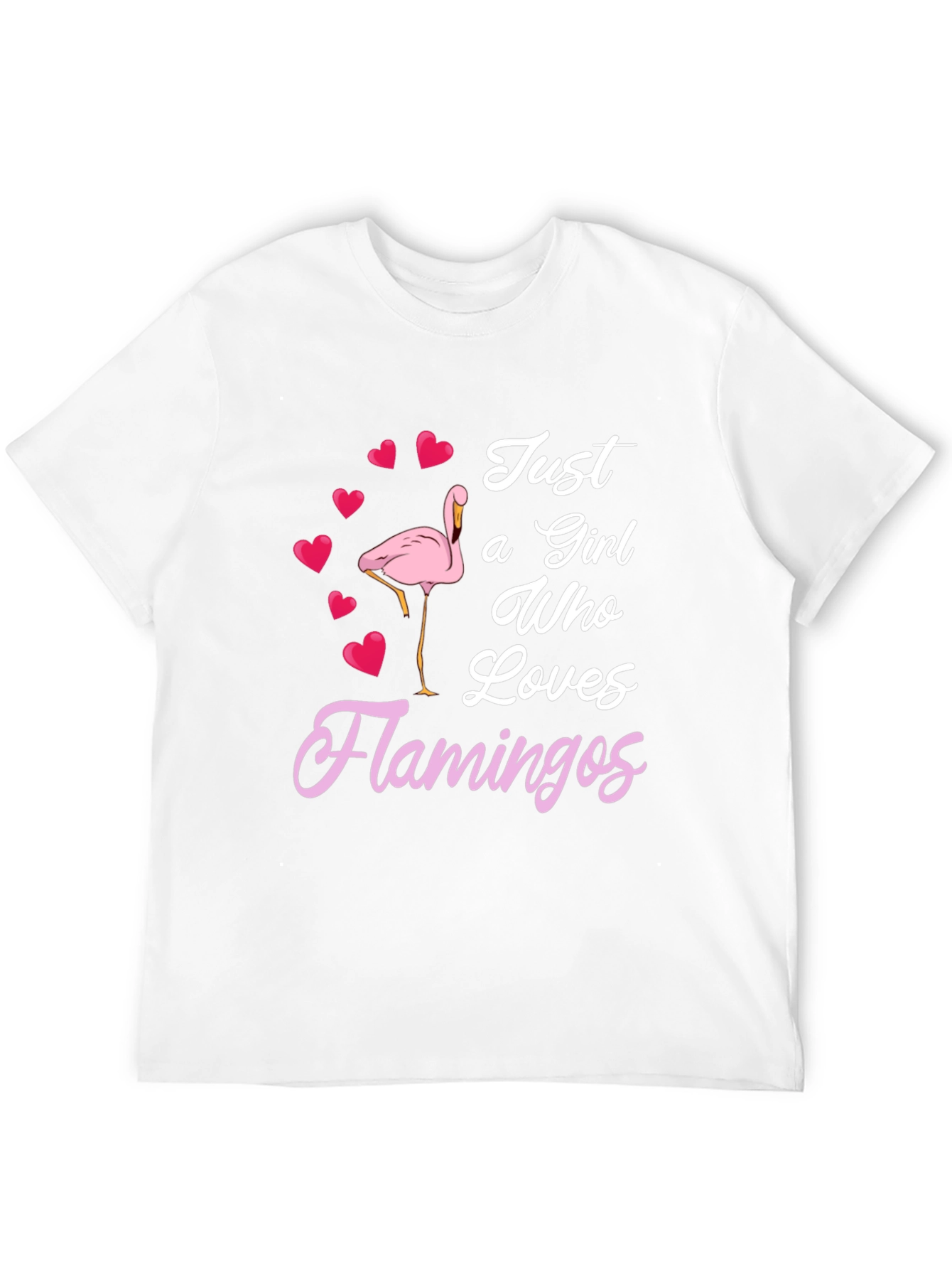 Just a Girl Who Loves Flamingos T-Shirt