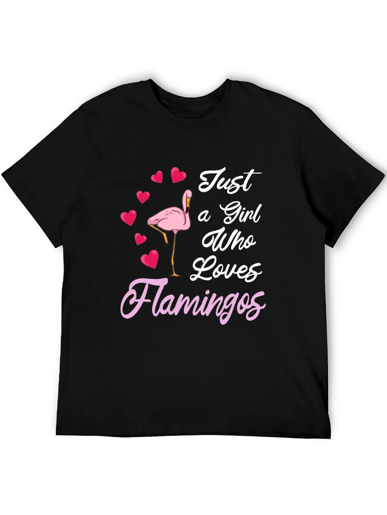 Just a Girl Who Loves Flamingos T-Shirt