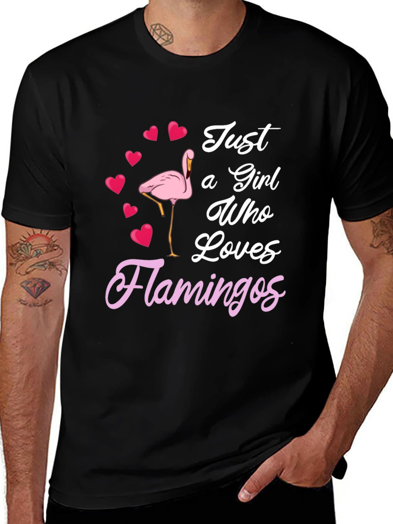Just a Girl Who Loves Flamingos T-Shirt