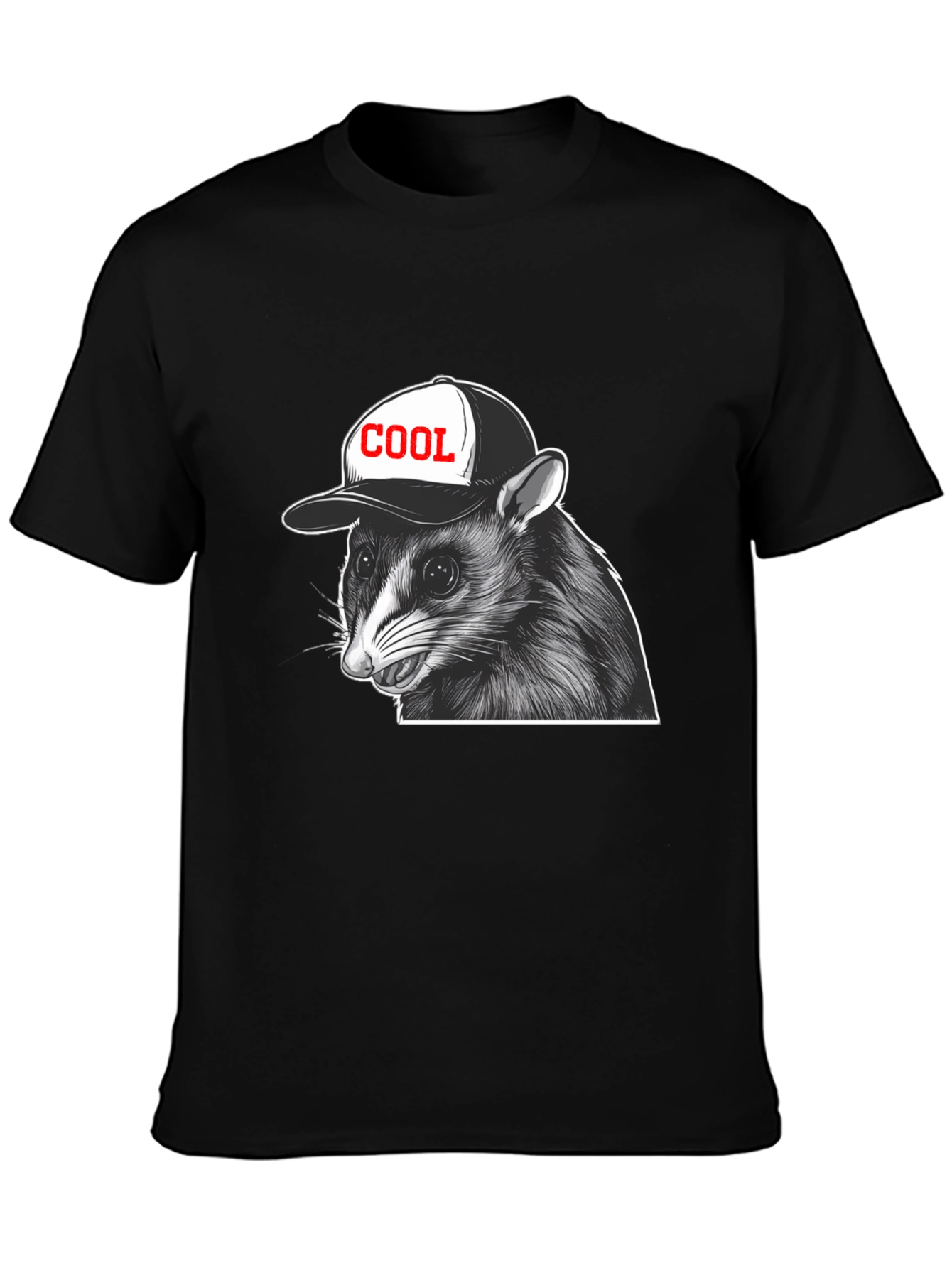 Cool Raccoon Graphic T-Shirt