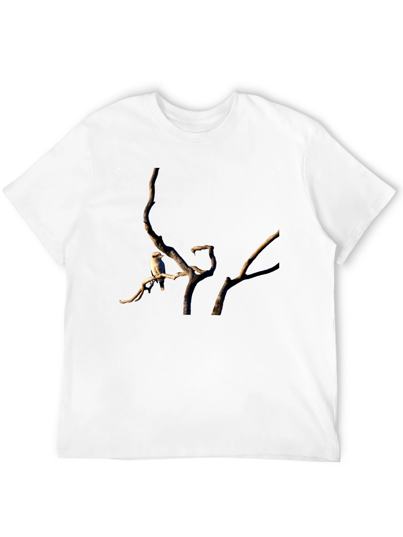 Kookaburra on Branch Black T-Shirt
