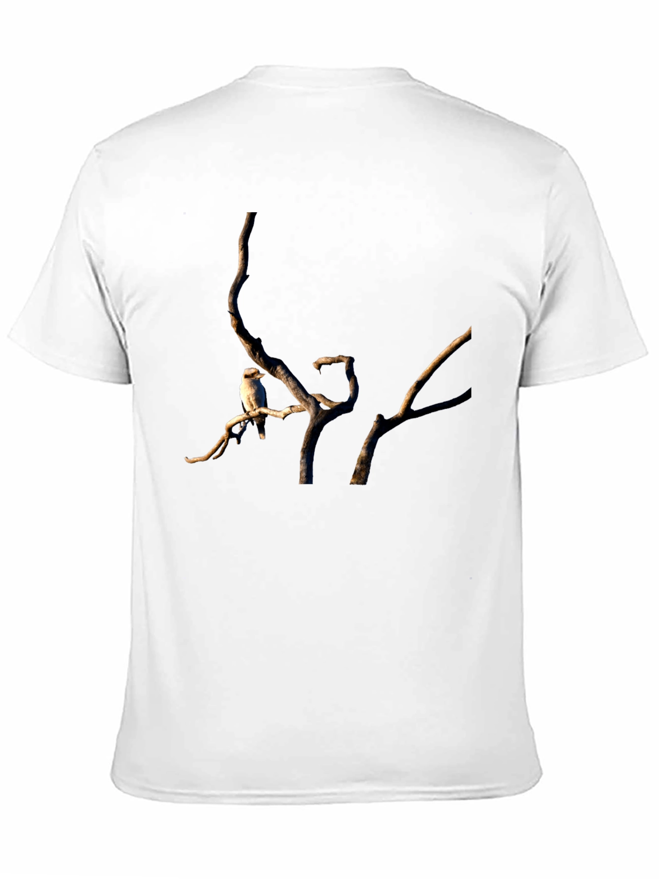 Kookaburra on Branch Black T-Shirt