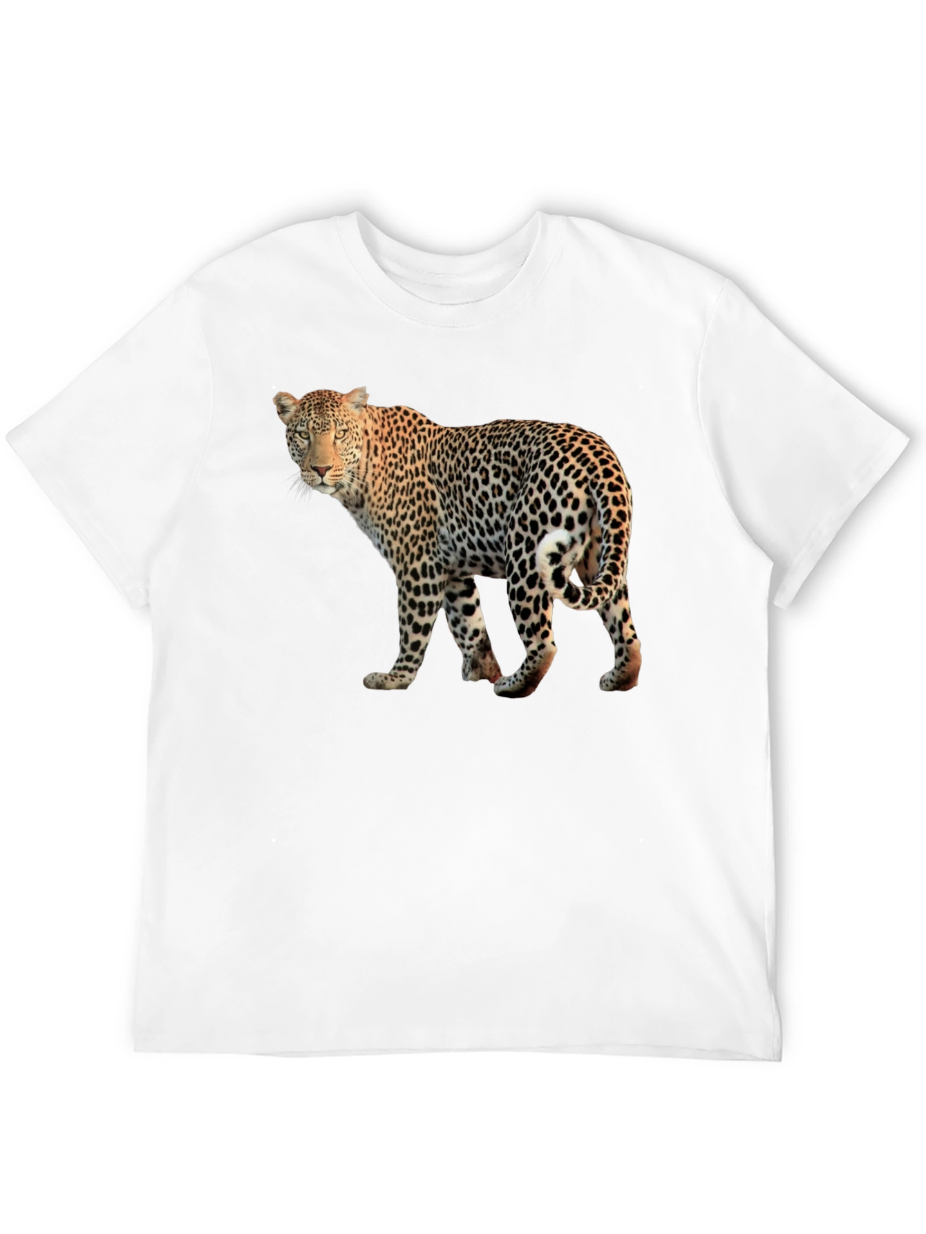 Leopard Graphic Print Black T-Shirt