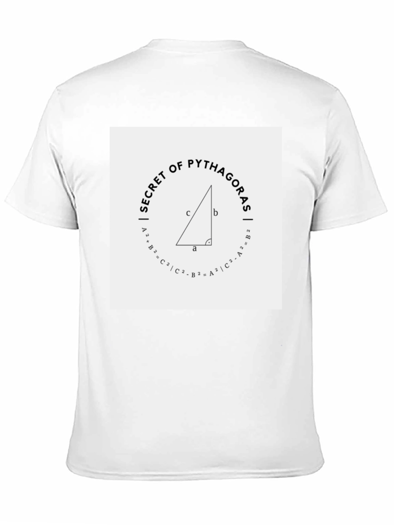 Secret of Pythagoras Black Tee Shirt