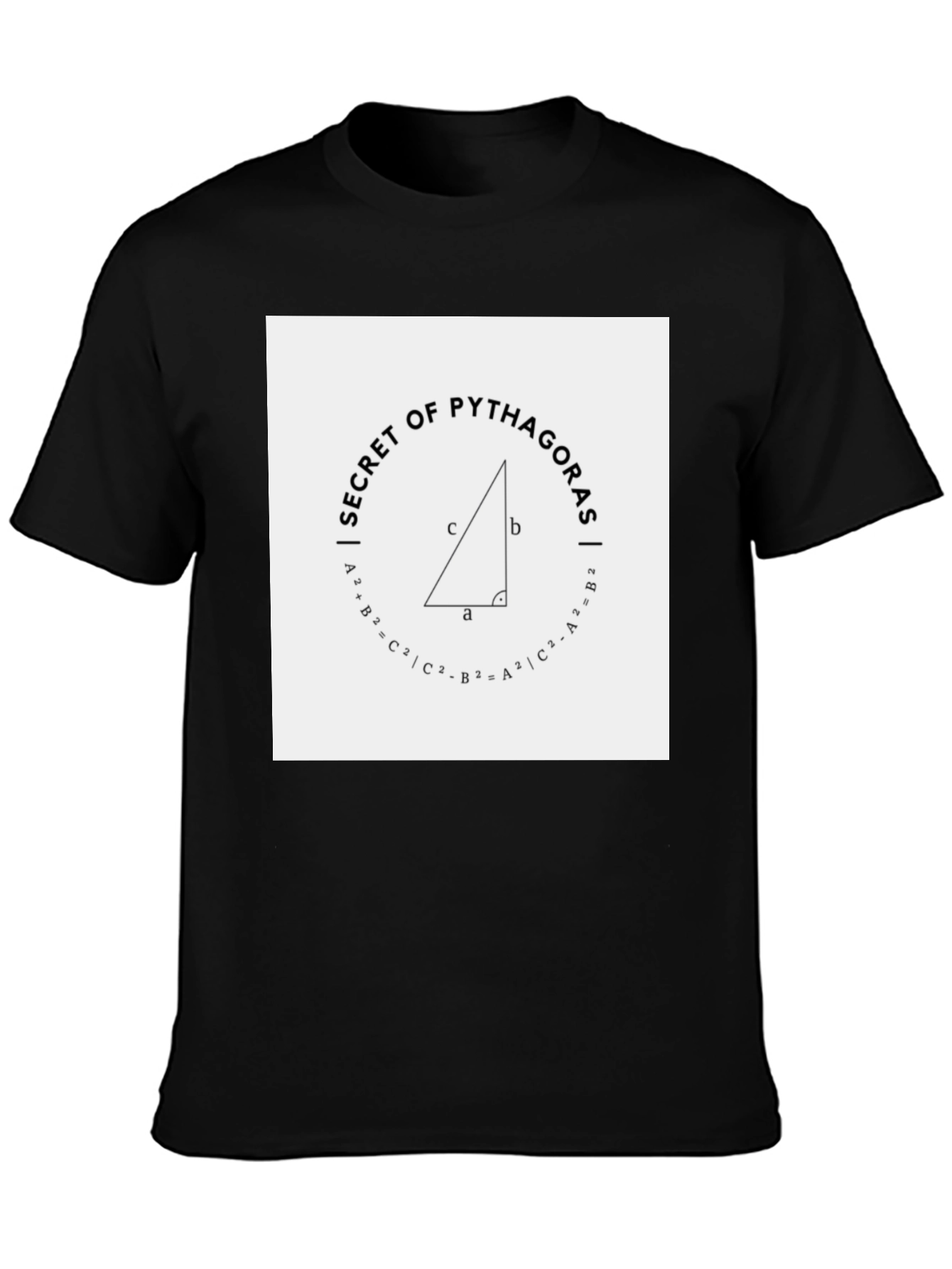 Secret of Pythagoras Black Tee Shirt