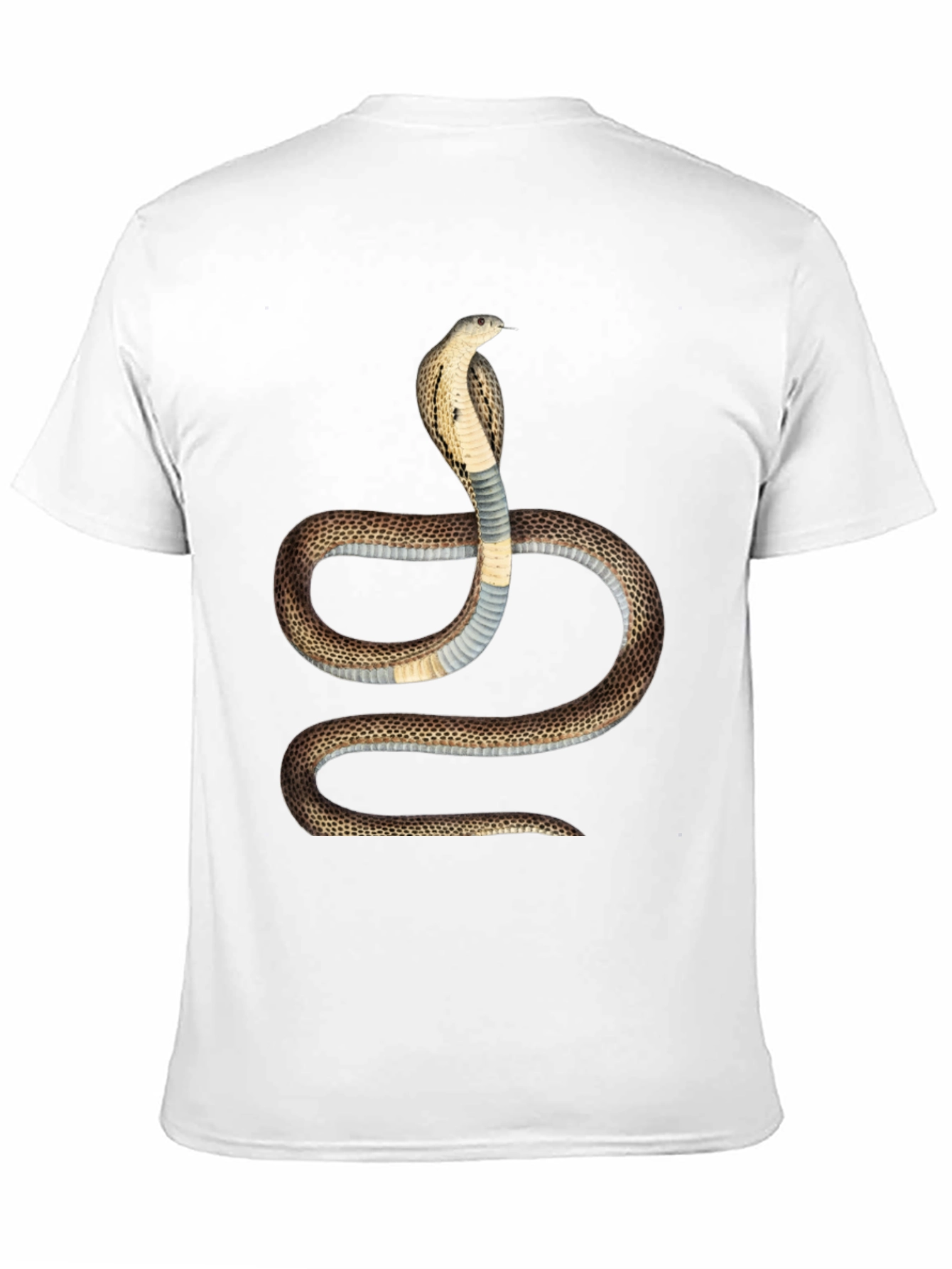 Cobra Graphic T-Shirt - Bold Snake Design