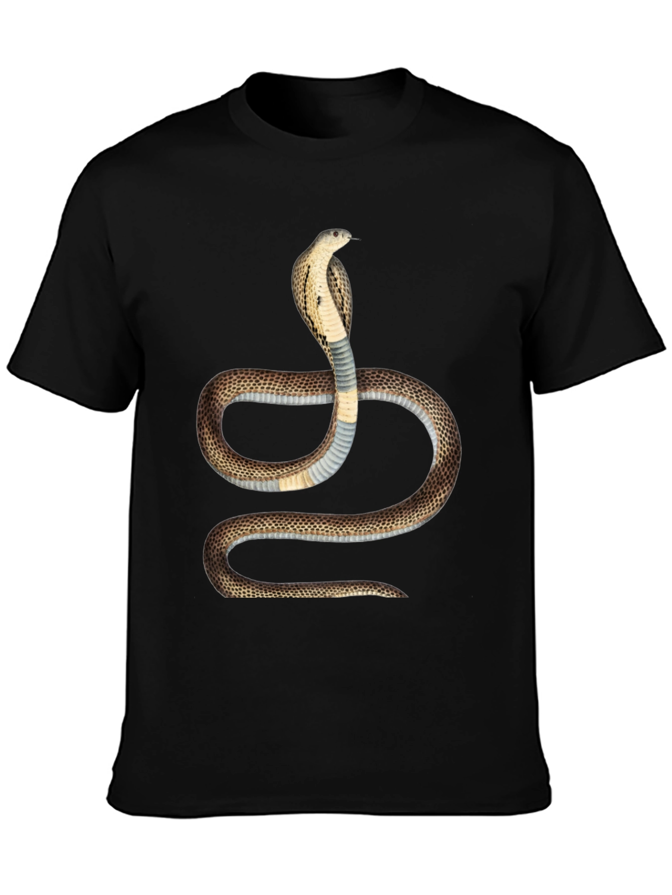 Cobra Graphic T-Shirt - Bold Snake Design