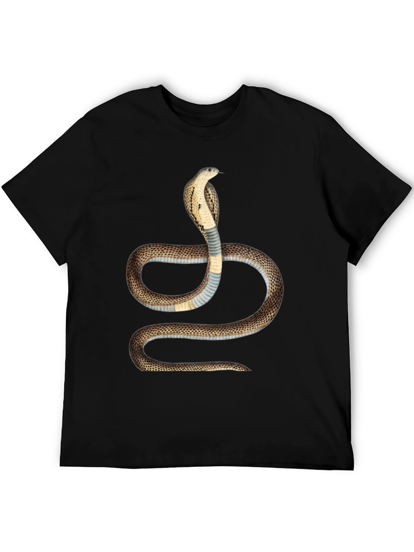 Cobra Graphic T-Shirt - Bold Snake Design