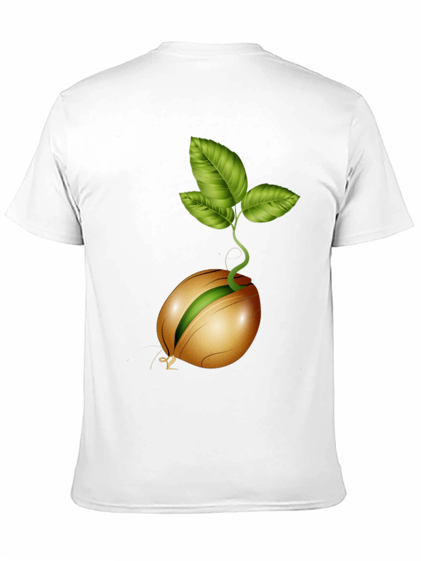 Sprouting Seed Graphic Tee - Organic Style