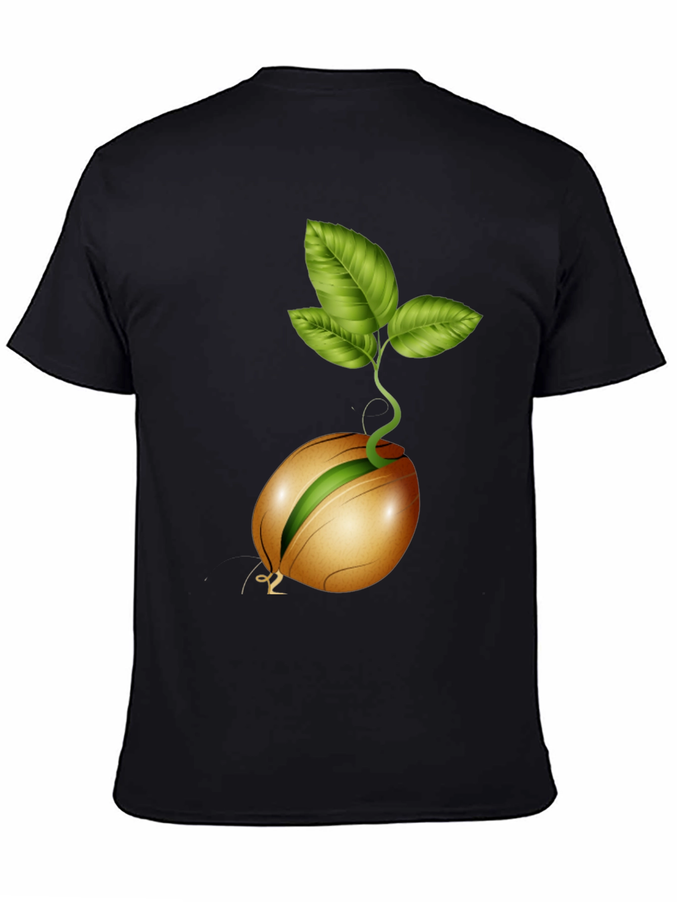 Sprouting Seed Graphic Tee - Organic Style